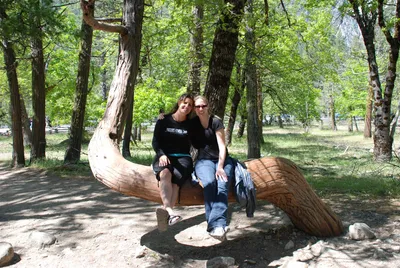 DSC_0084 (Large).JPG